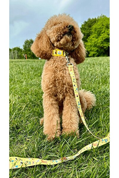 JesPawty Sarı Köpekli Gezdirme Tasması Ekstra Güvenlikli Kilitli Sistem