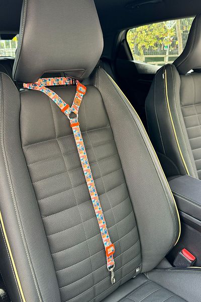 JesPawty Orange Patterned Cat Dog Car Travel Collar - Standard Hooked