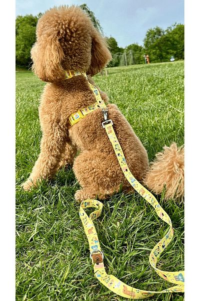 JesPawty Yellow Dog Collar Extra Safety Locking System
