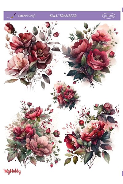 LİNEART Lineart Sulu Transfer LNT246 25x35cm