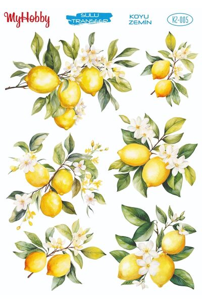 MyHobby Lineart Koyu Zemin Sulu Transfer KZ05 25x35cm