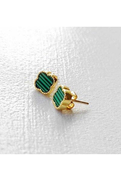 OJO TAKI Malahit Taşlı Vidalı925 Ayar Gümüş Yonca Küpe Ojo00313 Altınsarı Renk