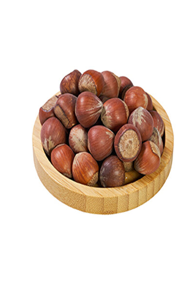 kuru hal Kabuklu Fındık