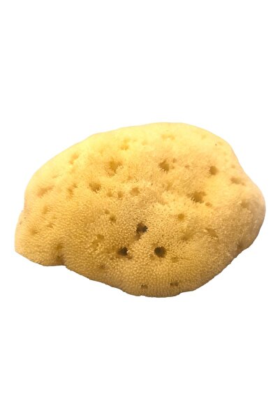 FOÇA ORGANİK Deniz Süngeri &100 Naturel Ve Temizlenmiş 12 gr 1 Adet