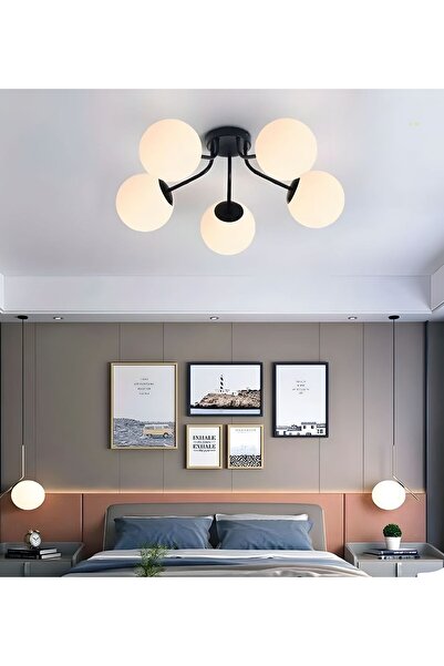 RONİSU AYDINLATMA 5 Camlı Modern Mutfak Yatak Odası Salon Avize