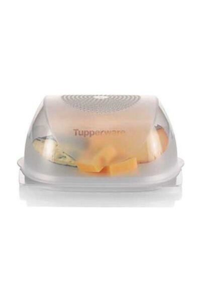 Tupperware Middle Cheese World