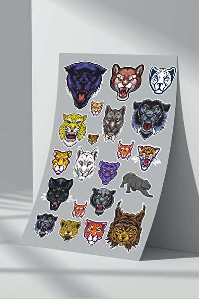 Sticker Market Set de autocolante Cougar - Pachet de 3