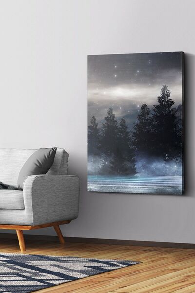 Evinemoda Zvezdana noć na platnu - Slika na platnu
