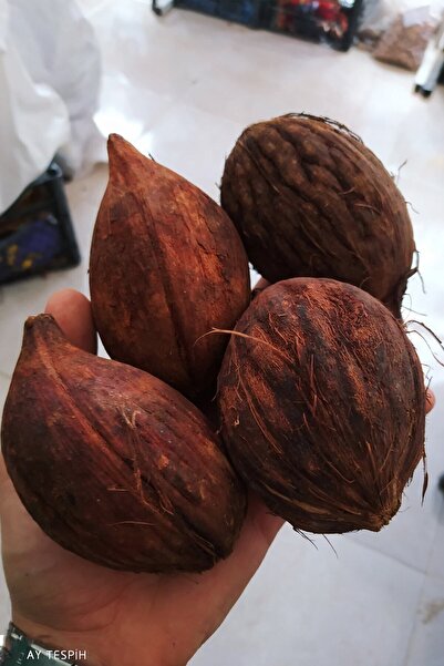 ay tespih Kuka Tesbih Hammaddesi (1KG)