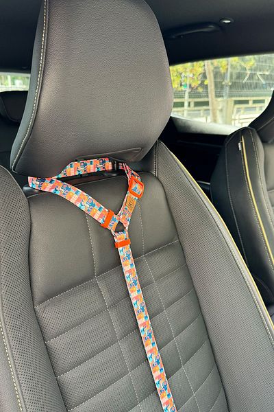 JesPawty Orange Patterned Cat Dog Car Travel Collar - Standard Hooked