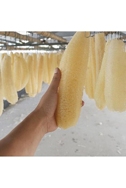 Köy Tohumları 2 Adet 20Cm Organik Bulaşık Sünger Lifi Lif Kabağı Kampanyalı F...