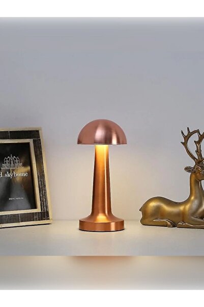 rkmstore Dekoratif Masa Lambası Metal Masa Lambası Şarjlı 3 Renk Mod Dokunmat...