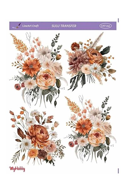 LİNEART Lineart Sulu Transfer LNT241 25x35cm