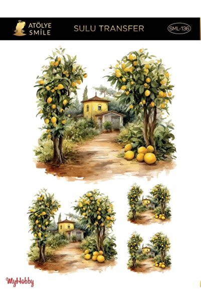 MyHobby موديل AST136 نقل مائي - 25x35 سم