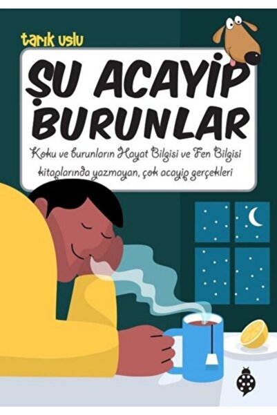 Uğurböceği Yayınları Şu Acayip Burunlar - Şu Acayip Işık Ve Renk - Şu Acayip ...