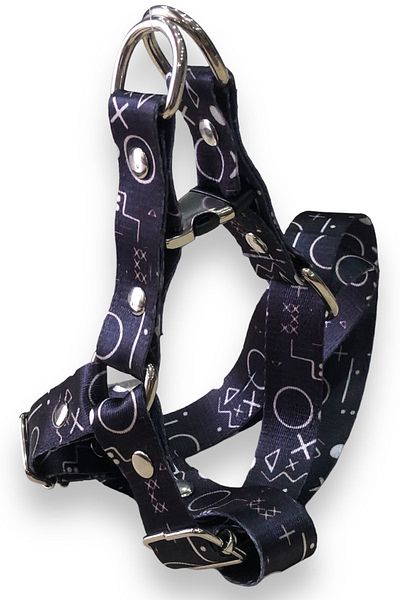 Angelapets 3-Piece Complete Dog Collar Neck Collar Walking Strap Set Metal Geometric