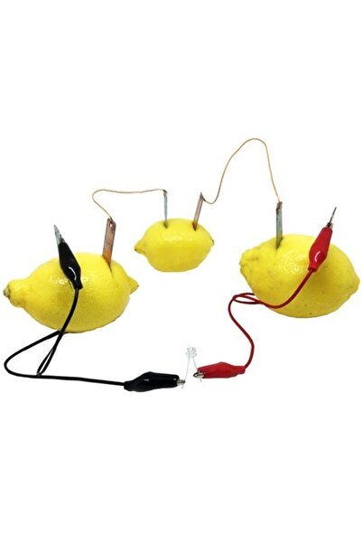 cansares Pil Yapma Deney Seti, Limon Pili Kimyasal Enerjiyle Elektrik Yapma A...