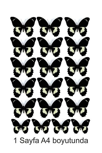 Atölye7Tasarım A4 Ornamental Cake - Edible Paper Print, Black Butterflies Pattern