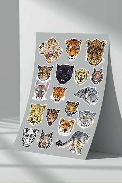 Sticker Market Σετ αυτοκόλλητων Cougar - Πακέτο 4