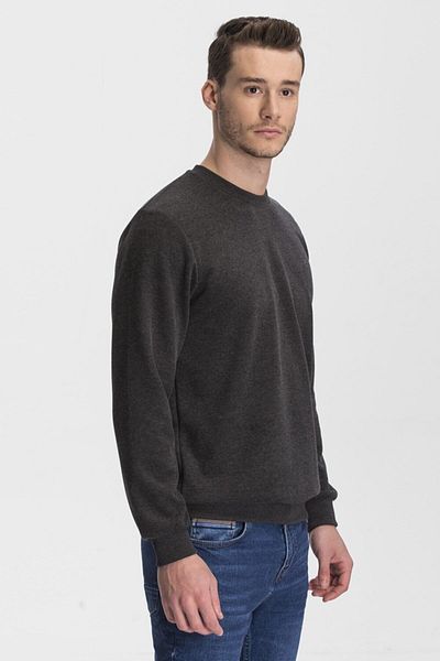 hateko Ανδρικό φούτερ Anthracite Crew Neck