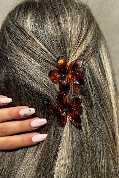 TAKIŞTIR 2-Piece Brown Lotus Buckle Pen Set