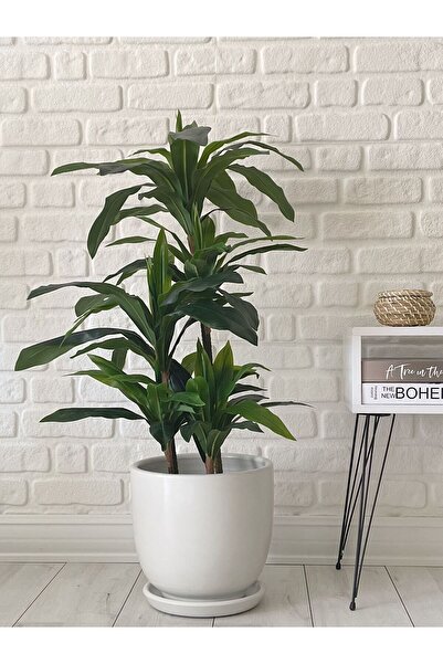 odka 10litre Saksı Tabaklı Çap: 25cmx Yükseklik: 23cm Beyaz Renk