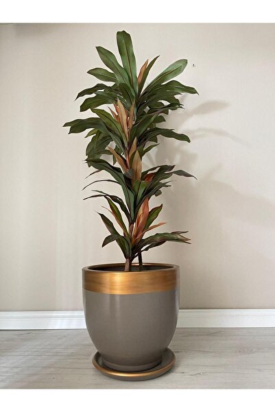 odka 10litre Saksı Tabaklı Çap: 25cmx Yükseklik: 23cm Vizon Gold