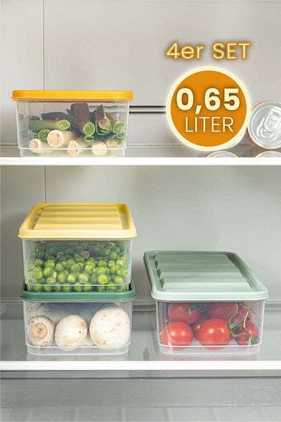 Viwares 4 Teilig Bella Kühlschrank Organizátor 1,65 l Bunt Vorratsbehälter