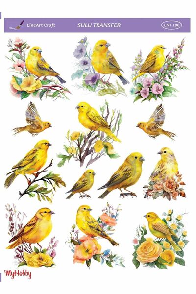 LİNEART Lineart Sulu Transfer LNT188 25x35cm