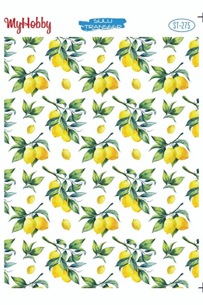 MyHobby نقل مائي SLT275 25x35 سم