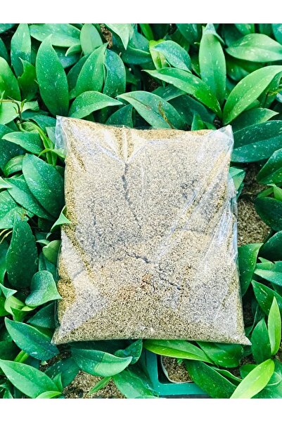 AKDENİZ TARIM Köklendirme Harcı 4 Litre Hoya ,sukulent, Kaktüs, Atlas ,gül ,y...