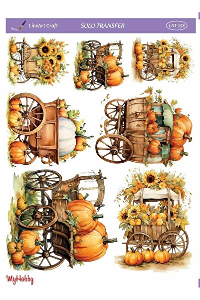 LİNEART Lineart Sulu Transfer LNT158 25x35cm