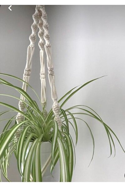 tasarimakromem35 makrome saksılık/ciceklik