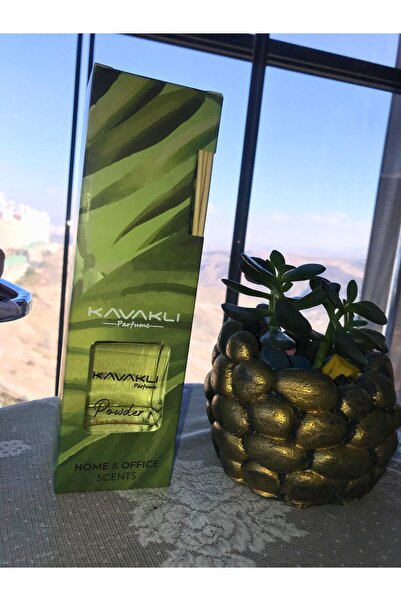 KAVAKLI Yağmur Esintisi Bambu Çubuklu Oda Kokusu - 100 ml Ferahlatıcı Ev Parfümü