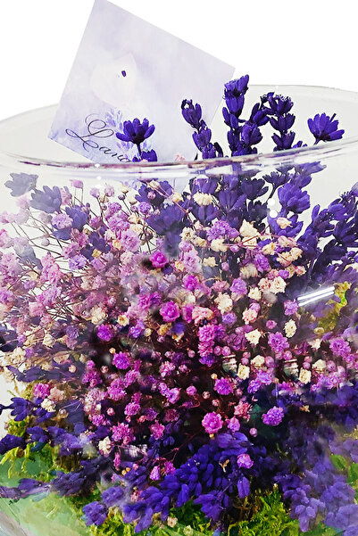 çiçekseli Cam Akvaryumda Lavanta Ve Cipso Fanusta Kokulu Lavanta Kalıcı Hediye Kuru Çiçek Teraryum Aşk Aroması