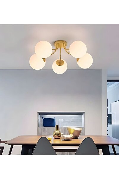 RONİSU AYDINLATMA 5 Camlı Modern Mutfak Yatak Odası Salon Avize