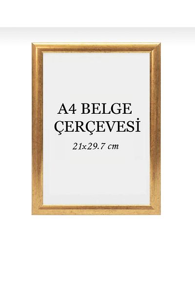 Serita 21x30 Photo Picture Poster Certificate Frame