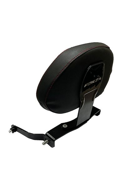 GOGOPREMİUM HONDA FORZA 250 2023 - 2024 COMPATIBLE SİSSY BAR