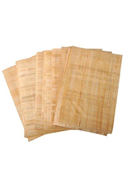 Karin : Papirüs Kağıdı : A3