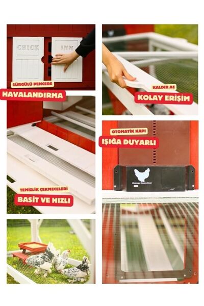MANDU Ahşap Bahçeli Tavuk/Kuş Kümesi (Mini çiftlik)