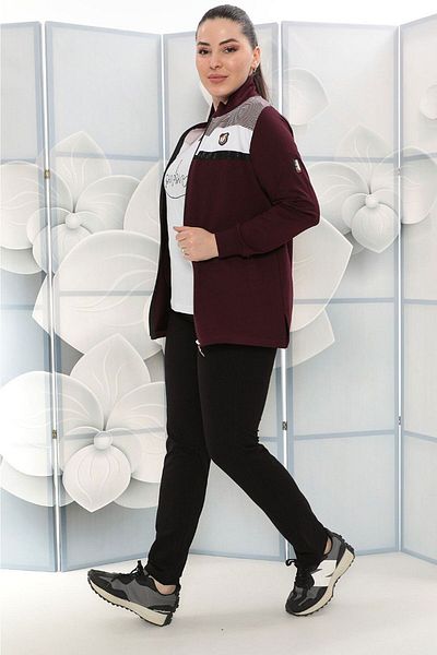 WND SPORT Stand Collar Striped Embroidered Stone Detail Classic Leg 3-Piece Wnd Women's Plus Size Tracksuit Set