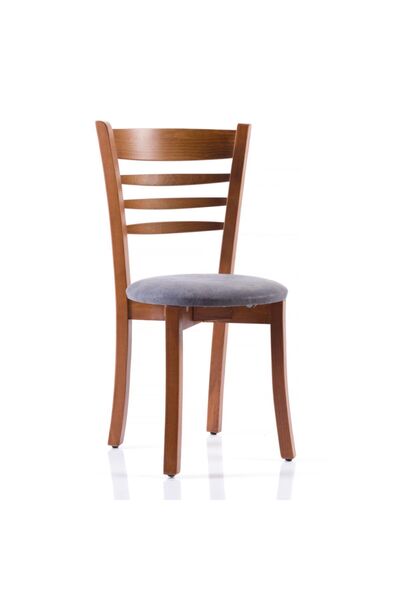 TEKMAN Rose Sandalye 4 Adet Sandalye