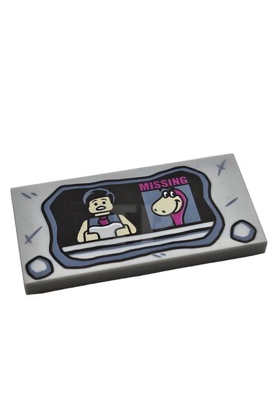 LEGO Flintstones 2 x 4 Printed Tiles Gray Stone - Dino Age, 1 Piece Moc Accessory Creator