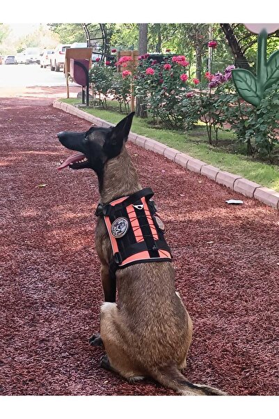 MgTasma Tactical Göğüs Tasması Taktik Tasma