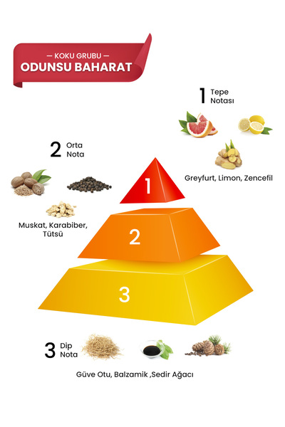 prova Army 100 ml  Ve Cool Blue 120 ml  Edp Erkek Parfüm Seti