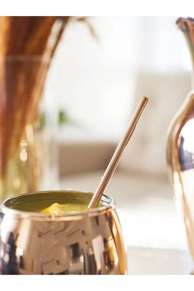 Bakır Concept Copper Straw (2 Pieces)