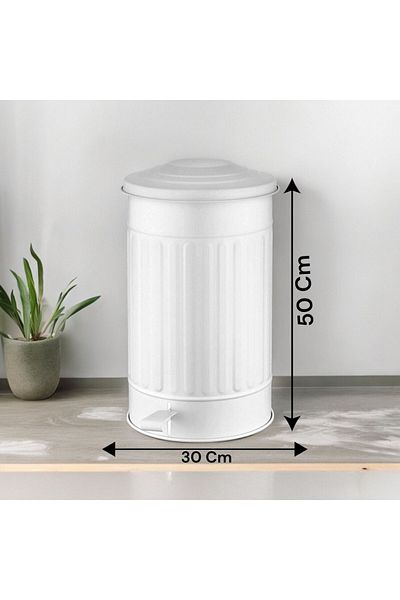 LUCKYHOMES Κάδος απορριμμάτων 24lt 50x30cm Μεσαίου μεγέθους Λευκός Γαλβανισμένος Μεταλλικός