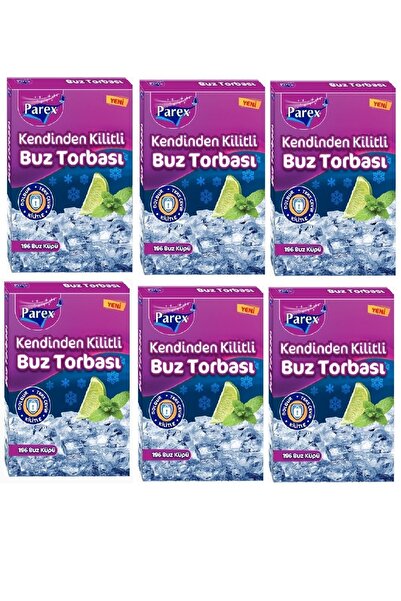 Parex Kendinden Kilitli Buz Torbası x6'lı