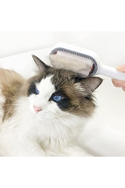 Çilek Kedi Köpek Su Hazneli Tarak