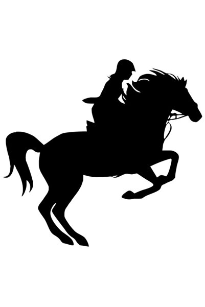 TSC Binicilik At Araba Sticker Çıkartmaları 2